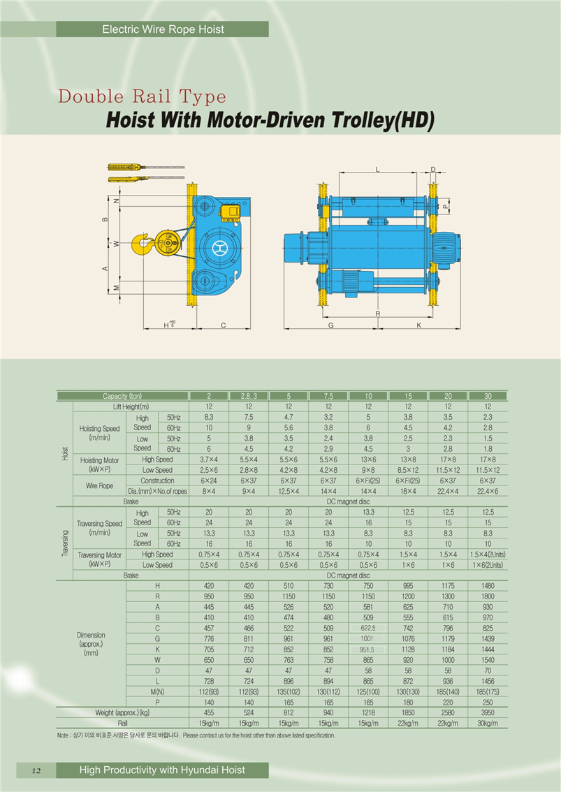 Công ty TNHH MTT Hàn Quốc Palang dầm đôi - Double rail hoist 