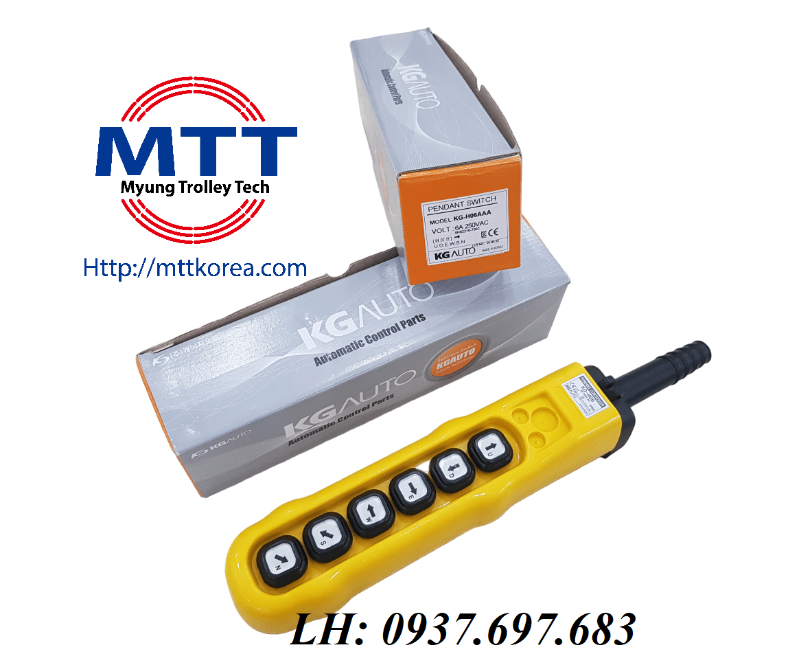Công ty TNHH MTT Hàn Quốc Bộ điều khiển cầu trục H06AAA 