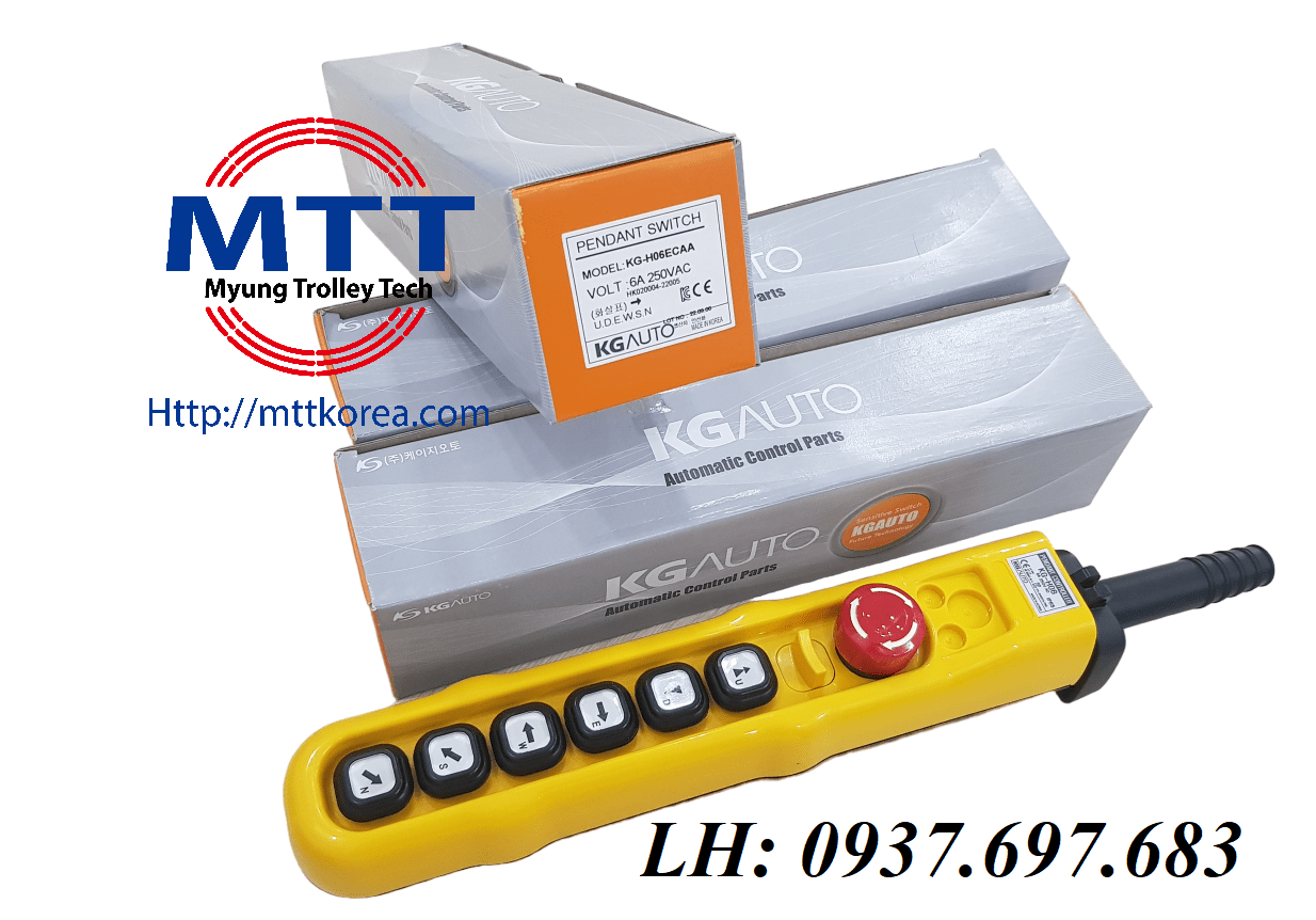 Công ty TNHH MTT Hàn Quốc Bộ điều khiển cầu trục H06ECAA 